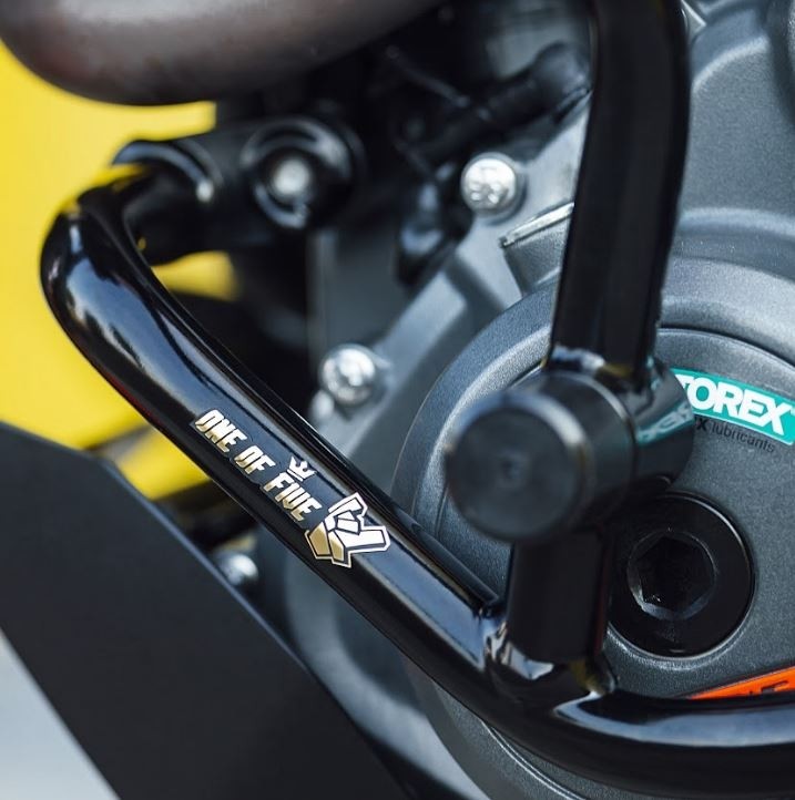プロスタント愛用 KTM DUKE125/200/390(17-18)用 スタントケージ